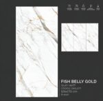 plancha fish belly gold