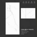 plancha fish belly white