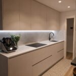 plancha super white quartzite