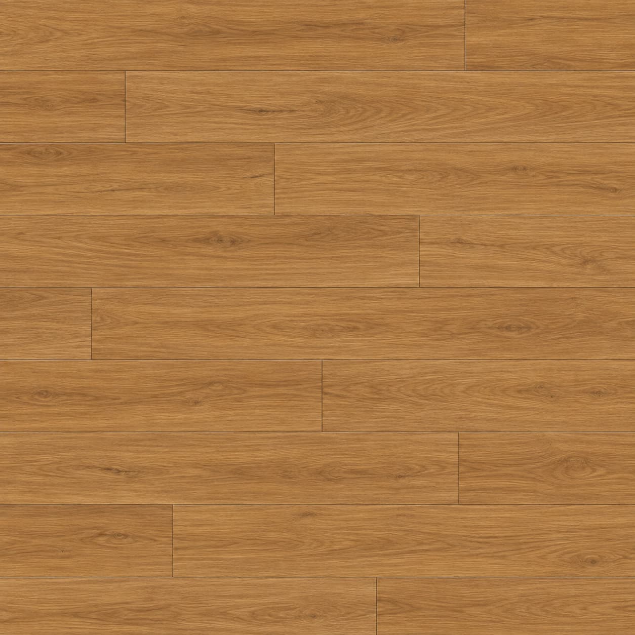 kassel spc brushbox