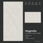 plancha magnolia