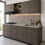 plancha lithic antrancite